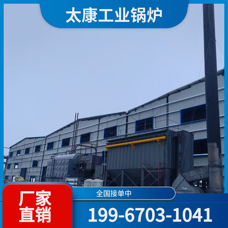 长春生物质导热油锅炉